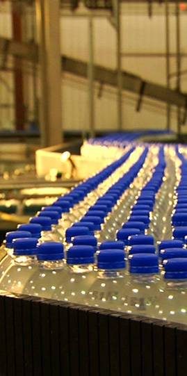 mg不朽情缘(中国)游戏官方网站